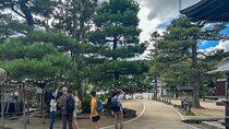 All-Inclusive Kyoto Day Tour: Amanohashidate, Miyama or Ohara