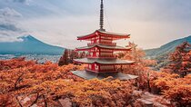 From Tokyo Mount Fuji Full Day Private Tour
