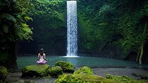 Ubud Waterfall, Rice Terraces and Monkey Forest Private Tour