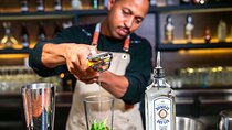 Barcelona: Cocktail-Making Class With a Mixologist