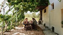 Winery Tour and Tasting in Corfu` with the Sommelier