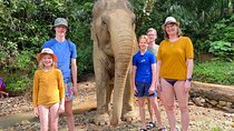Jurassic World Huay To Waterfall and Jungle Tour from Krabi 