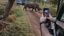 Lake Nakuru National Park Day Trip and Lake Naivasha Boat Ride 