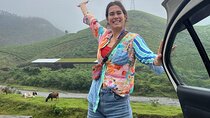 Kochi to Munnar Full Day Tour Eravikulam Tea Estate and Lunch
