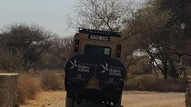 Day Trip Tarangire Safari