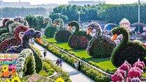 Miracle Garden and Global Village Experience