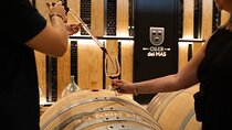 Montserrat Tour with Winery Lunch & Exclusive Cellar Experience
