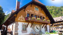 The Best of Nature Rhine Falls Black Forest Private Experience