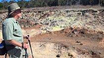 Sulphur Banks and Crater Rim Private Hike: The Steaming Volcano!