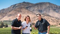 Haras de Pirque Private Vineyard Tour and Wine Tastings