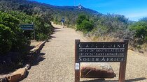 Cape of Good Hope and Penguins Full Day Tour