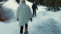 Evening Snowshoeing / Cross-country skiing Experience