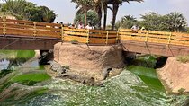 Crocoparc and Climbing Goats of Agadir Tour