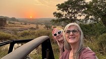 Jaipur to Ranthambore Tiger reserve Safari Day trip All Inclusive