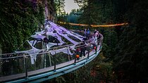 Capilano Bridge+Granville Isl+ Capilano Hatchery+Lynn Canyon Tour