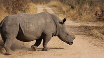 5-Day Explore Zimbabwe, Zambia and Botswana