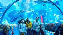 Shared Istanbul Aquarium and Florya City Tour