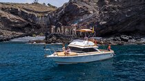 Whale watching and snorkelling in the whale sanctuary