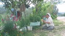 Kusadasi Carpet Shopping Tour