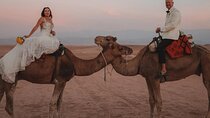 Agafay Desert Sunset Tour with Dinner and Show