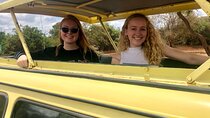 Nairobi national Park, Elephant orphanage & Giraffe Centre