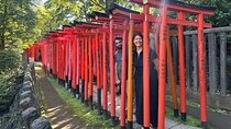 Yanaka and Nezu : Tokyo Old Traditional Town Cultural Experience