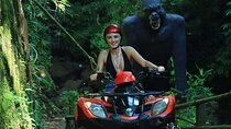 ATV Gorilla Statue Cave Waterfall Monkey Forest and Rafting