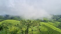 Kochi to Munnar Private Full Day Guided Tour With Hotel Pickup