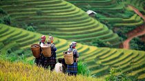 Mai Chau Full Day Private Tour