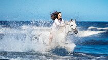 Golden Hour - Horse Riding Sea Or Desert Sharm El Sheikh 