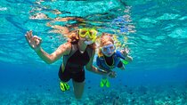 Saona Paradise Island : Catamaran, Natural Pool and Typical Lunch