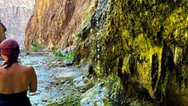 Goldstrike Hot Springs and 124 Degree Magma Heated Waterfall Hike