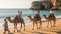 Tangier Corniche Medina and Panoramic Views Shared Tour