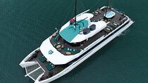 Halong Bay Catamaran Adventure: Kayak, Swim & Slide in Lan Ha Bay