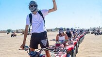 Hurghada Super Safari: Jeep, Quad, Dinner ,Camel & Show 