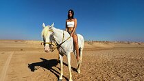1 Hour Horse Riding & ATV Quad Safari Adventure – Sharm El Sheikh