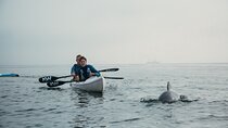 Guided Kayak Tours in Cape Town