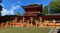 Nara Guided Tour by Private Car from Kyoto