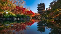 Senior friendly/Indulge Buddhist art, Toji& Sanjusangendo & Sushi