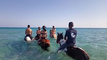 Horse Riding Adventure Desert and Sea in Hurghada
