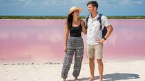 Las Coloradas Pink Lake & Rio Lagartos Guided Tour 