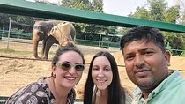 Taj Mahal, Agra Fort & Elephant Rescue Sanctuary Private Day Trip
