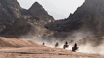 Sinbad Safari ATV, Buggy, Camel Ride, & Breakfast – Marsa Alam