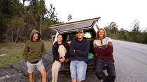 Jeffreys Bay Garden Route 6 Day Surf and Adventure Tour package