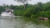  Uganda, Rwanda& Burundi: Gorillas Chimpanzees& cultural Tour