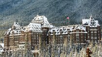 Explore Banff + Wildlife