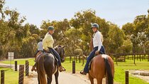 Romantic Vineyard Horse Riding and Picnic 