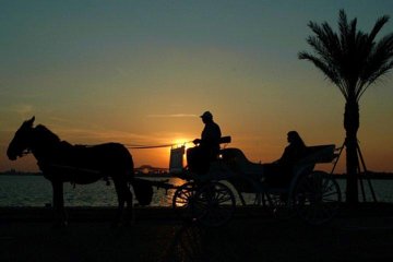 Aswan City Private Tour by Horse Carriage