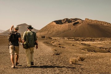 Volcanos of Lanzarote hiking tour