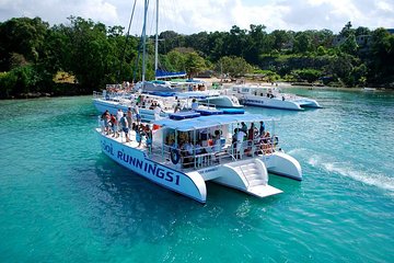 Jamaica Dunn's River Falls Party Cruise with Snorkeling